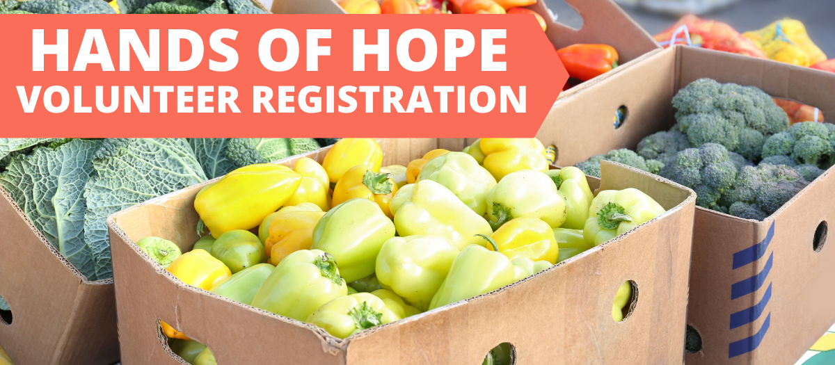 Willowdale Chapel Square Church Jennersville Church